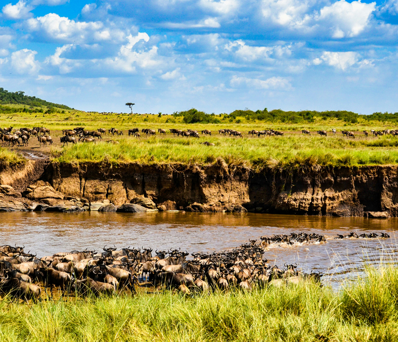 5 Days Amboseli & Maasai Mara Safari – wildlife safari in Amboseli, Maasai Mara